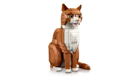 LEGO 21376 Ideas Rudy kot