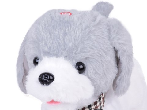 Interaktywny pluszowy Piesek CHARLIE Chodzi Szczeka Skomle + pilot ZA5362