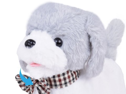 Interaktywny pluszowy Piesek CHARLIE Chodzi Szczeka Skomle + pilot ZA5362